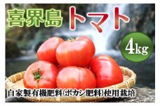 【2025年12月から発送】『喜界島トマト』自家製有機肥料(ボカシ)使用栽培　４kg