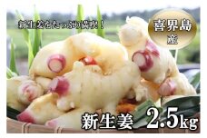 喜界島産『新生姜』2.5Kg(250g×10パック)　ショウガ/しょうが
