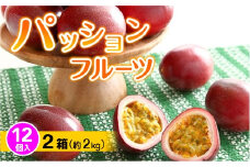 【2025年５～６月頃発送】パッションフルーツ  12個入り×２箱(約２kg)