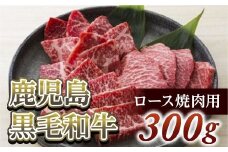 ロース焼肉用300g　鹿児島黒毛和牛【尾崎牧場】