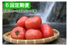 【2025年12月から発送】【６回お届け】『喜界島トマト』自家製有機肥料(ボカシ肥料)使用栽培　２kg×６回　定期便
