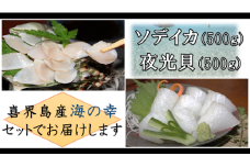 【真空冷凍】夜光貝の刺身500ｇ・ソデイカ500ｇ【漁師直送!!】