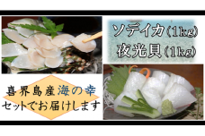 【真空冷凍】夜光貝の刺身１kg・ソデイカ１kg【漁師直送!!】