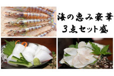 車海老(300g)・夜光貝(500g）・ソデイカ(500g)【海の恵み豪華３点盛】【冷凍】