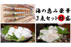 車海老(600g)・夜光貝(1kg)・ソデイカ(1㎏)【海の恵み豪華３点特盛】