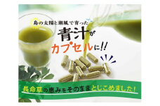 長命草カプセル(280㎎×150粒)【機能性標示食品】
