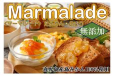 【無添加】島みかん マーマレード(フスウ125g・タンカン125g)2個