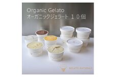 【オーガニック】ジェラート　10個　ギフトボックス
