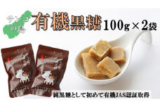 サンゴの島の有機黒糖（100g）×２袋【ポスト投函／日付指定不可】