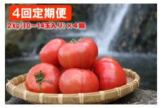 【2025年12月から発送】【４回お届け】『喜界島トマト』自家製有機肥料(ボカシ肥料)使用栽培　２kg×４回　定期便