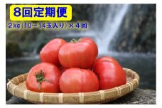 【2025年12月から発送】【８回お届け】『喜界島トマト』自家製有機肥料(ボカシ肥料)使用栽培　２kg×８回　定期便
