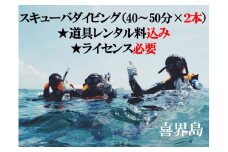 喜界島で スキューバダイビング（40～50分×２本）★道具レンタル料込み★ライセンス必要★ 