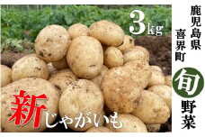 【2025年3月発送】"サンゴの恵み" 新じゃがいも ３kg【大小混合】