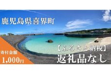 【返礼品なしの応援寄附】鹿児島県 喜界町【1,000円】