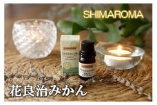 エッセンシャルオイルSHIMAROMA【花良治みかん】３ml