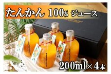 【100％】喜界島たんかんジュース　200ml×４本