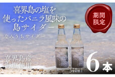 なみうちサイダー	340ml✖６本【喜界島の塩を使ったサイダー】