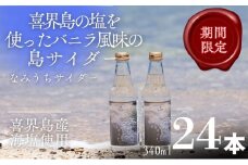 なみうちサイダー	340ml×24本【喜界島の塩を使ったサイダー】