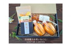 【2024年９月ごろ発送】【SONTAR GARDEN】ギフトボックス