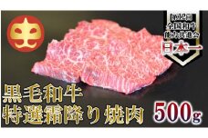 【うしの中山】 霜降り 焼肉 用 500g