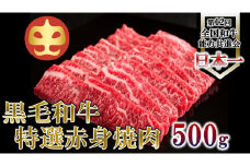 【うしの中山】 赤身 焼肉 用500g