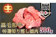 【うしの中山】 切り落とし 焼肉 用 500g