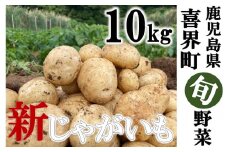 【2025年3月発送】"サンゴの恵み" 新じゃがいも 10kg【大小混合】