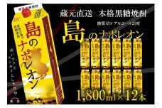 93【蔵元直送便】本格黒糖焼酎 島のナポレオン1800mlパック×12本 ( 蔵元直送 酒 プリン体ゼロ 糖質ゼロ 奄美 徳之島 鹿児島 晩酌 和食 洋食 島のナポレオン 奄美大島にしかわ酒造 )