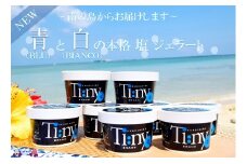 215～南の島からお届けします～青と白の本格塩ジェラートギフト ( ジェラート アイス 12個 塩 ミルク スイーツ 海 徳之島 奄美 鹿児島 美農里館 )