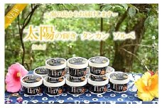 255～南の島からお届けします～太陽の輝き　タンカンソルベギフト ( ジェラート アイス ソルベ 12個 たんかん 柑橘 スイーツ 徳之島 奄美 鹿児島 美農里館 )
