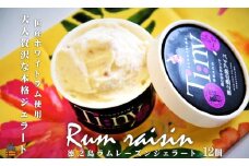223～国産ホワイトラム使用～大人贅沢なラムレーズンジェラート ( アイス ジェラート ラム レーズン 大人 贅沢 徳之島 奄美 鹿児島 スイーツ 美農里館 )
