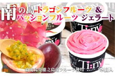 163 南の島の恵み！ドラゴン＆パッション プレミアムジェラート （8個入）( ジェラート アイス ドラゴンフルーツ パッションフルーツ 果物 フルーツ オリジナル 徳之島 奄美 鹿児島 スイーツ 美農里館 )