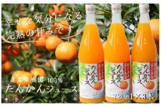 181【2025年収穫！】完熟の幸せな甘み！徳之島たんかんジュース（3本）( フルーツ ジュース 果汁 果物 柑橘 徳之島 鹿児島 濃厚 贅沢 太陽 恵み 健康 美味しい 直島果樹園 )