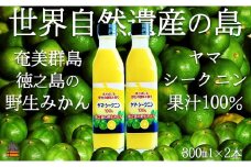140 ～野生の島みかんの味～徳之島のヤマ・シークニン果汁（300ml×2本） ( 調味料 柑橘 果物 薬味 果汁 香り 酸味 ドレッシング 野生みかん  みかん ヤマシークニン 奄美 鹿児島 鍋 焼き魚 料理  お酒 焼酎 酸味 ダイキチ食品 )