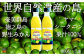 全国の皆様に知ってほしい！徳之島の野生みかん“ヤマ・シークニン”の美味しさ！