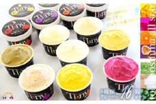 331～島の素材をそのままに～プレミアムジェラート＆ソルベ（16個）（ アイス スイーツ  スイーツ 食べ比べ 8種類 マンゴー パッションフルーツ ドラゴンフルーツ ラムレーズン タンカン 塩 アイスクリーム 洋菓子 徳之島 奄美 鹿児島 )