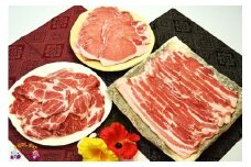 343～真面目に島育ち～島豚焼肉セット（3㎏）