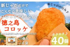 434 《マツコの知らない世界で紹介》新じゃがだけでこんなに美味しい。徳之島コロッケ（40個）（ こだわり出汁 じゃがいも 冷凍 冷凍食品 食事 おかず お弁当 おやつ ホクホク 美味しい 簡単 料理 徳之島 奄美 鹿児島 止まらない美味しさ 人気 オススメ ）