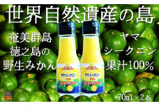 1156 ～野生の島みかんの味～徳之島のヤマ・シークニン果汁（70ml×2本） ( 調味料 柑橘 果物 薬味 果汁 ドレッシング ドリンク ジュース ヤマシークニン 野生みかん 奄美 鹿児島 鍋 焼き魚 料理  お酒 焼酎 酸味 ダイキチ食品 )