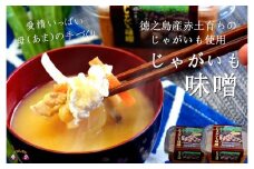 1392～赤土育ちのじゃがいも使用～徳之島のじゃがいも味噌（無添加）  ( 味噌 みそ 調味料 じゃがいも 野菜 伝統 徳之島 奄美 鹿児島 郷土料理 美味しい )