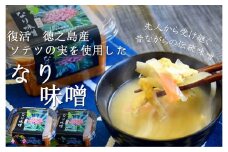 1393～徳之島産ソテツの実を使用～昔ながらのなり味噌（無添加） ( 味噌 みそ 調味料 ソテツ 伝統 徳之島 奄美 鹿児島 文化庁 100年フード 郷土料理 美味しい )