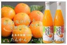 1405【2025年収穫！】完熟の幸せな甘み！徳之島たんかんジュース（2本）( フルーツ ジュース 果汁 果物 柑橘 徳之島 鹿児島 濃厚 贅沢 太陽 恵み 健康 美味しい 直島果樹園 )