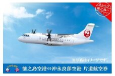 1724　片道航空券＋ホテル宿泊券（徳之島空港⇔沖永良部空港）