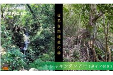 1741徳之島　トレッキング（ガイド付き）ツアー（1名）