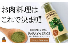 1773「お肉料理はこれで決まり!!」パパイヤスパイス（プレーン40g）（肉 鶏 豚 牛 料理 炒めもの ステーキ からあげ とんかつ 焼肉 パスタ パパイヤ スパイス BBQ キャンプ アウトドア 奄美 徳之島 島 海 山 川）