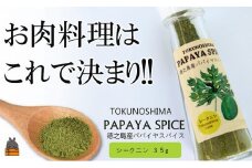 1774「お肉料理はこれで決まり!!」パパイヤスパイス（シークニン35g）（肉 鶏 豚 牛 料理 炒めもの ステーキ からあげ とんかつ 焼肉 パスタ パパイヤ スパイス BBQ キャンプ アウトドア 奄美 徳之島 島 海 山 川）