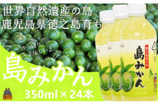 1809～爽やかな柑橘ドリンク！～徳之島の島みかん350ml×24本 (ドリンク 果物 フルーツ シークニン 徳之島 奄美 鹿児島 美農里館 さわやか 酸味 美味しい )