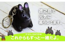 1823「これからもずっと一緒だよ」アマミノクロウサギオリジナルキーホルダー
