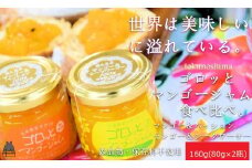 1916世界は美味しい～ゴロッとマンゴージャム食べ比べ2種（160g） ( 果物 フルーツ パン ジャム 徳之島 奄美 鹿児島 世界自然遺産 太陽 恵み 美味しい )