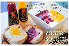 2036 マンゴー&ドラゴン！しまフルーツのヨーグルトソース食べ比べ ( マンゴー ドラゴンフルーツ 果物 フルーツ 調味料 ソース ヨーグルト 徳之島 奄美 鹿児島 美味しい 食べ比べ レターパックプラス配送 )